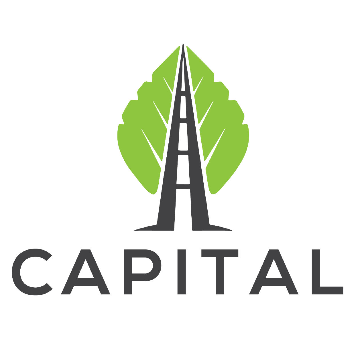 Capital Consulting Solutions